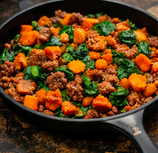Beef and sweet potato dog food meal