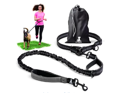 Hands-free dog leash being used on a walk