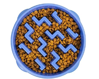 Dog eating from a slow feeder bowl