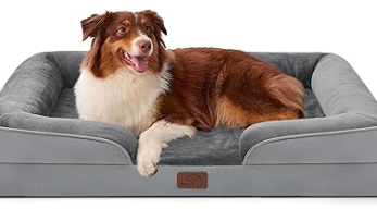 Dog lying comfortably on orthopedic bed